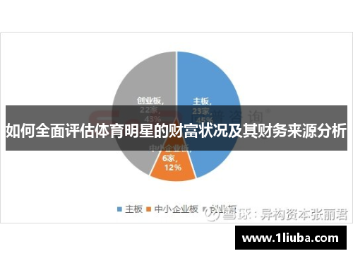 如何全面评估体育明星的财富状况及其财务来源分析 如何全面评估体育明星的财富状况及其财务来源分析