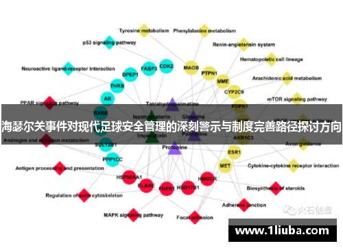 海瑟尔关事件对现代足球安全管理的深刻警示与制度完善路径探讨方向